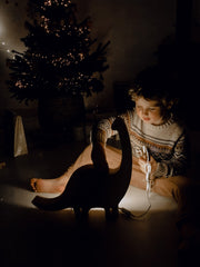 Little Lights Dino Diplodocus Night Light | Jurassic Wood