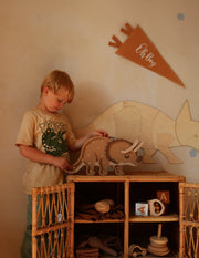 Little Lights Dino Triceratops Nachtlicht | Paleo Sand