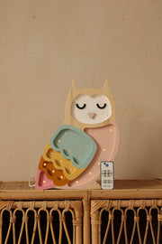 Little Lights Owl Night Light | Retro Rainbow