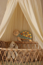 Little Lights Turtle Night Light | Galapagos Sage