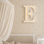 Little Lights Letter Night Light E