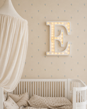 Little Lights Letter Night Light E